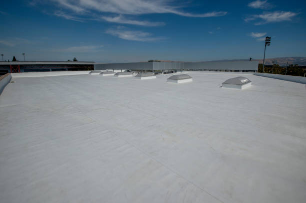 Best Roof Leak Repair  in Martin, TN