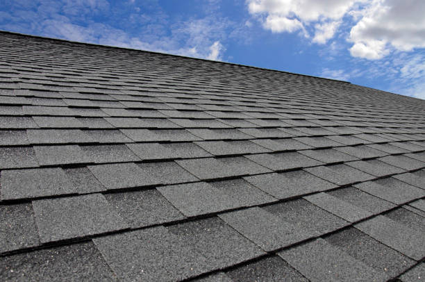 Best Gutter Installation and Repair  in Martin, TN